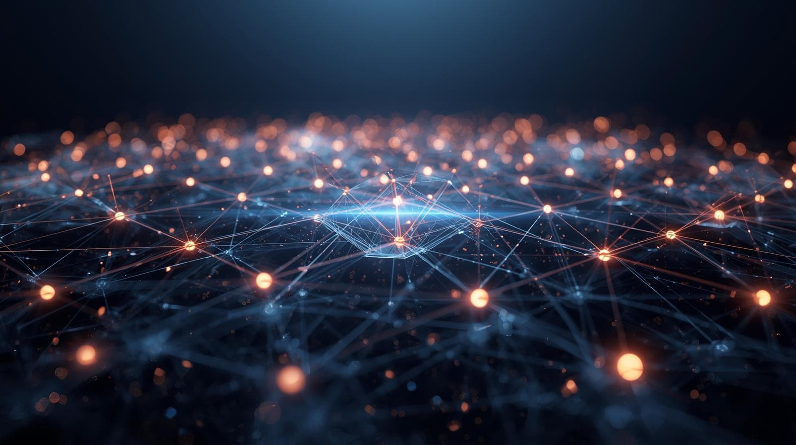 Organizations Served