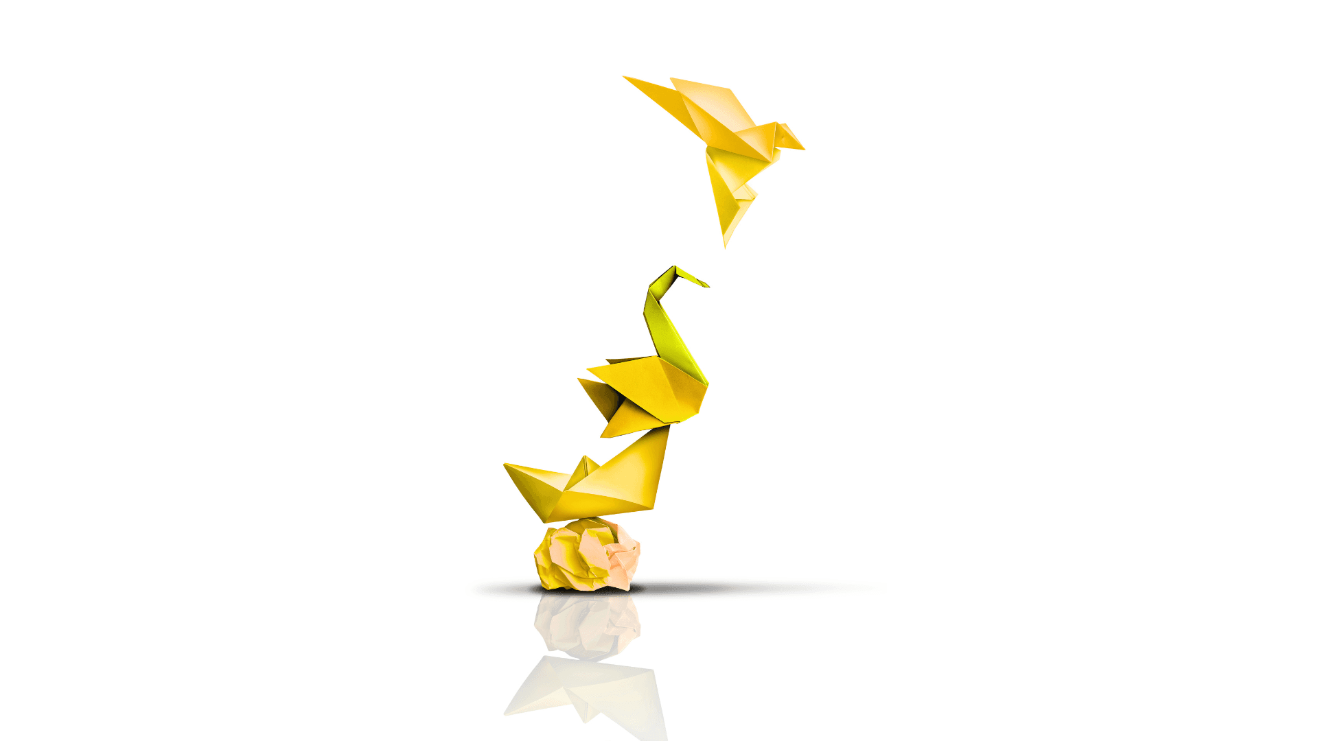 Culture Transformation