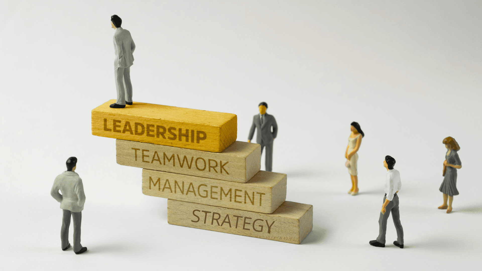 Leadership Training